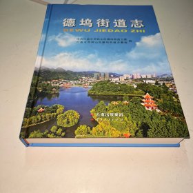 德坞街道志