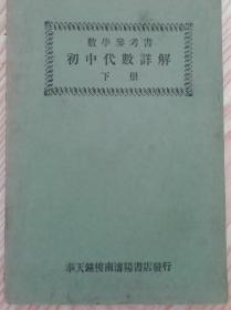 数学参考书初中代数详解(下册)