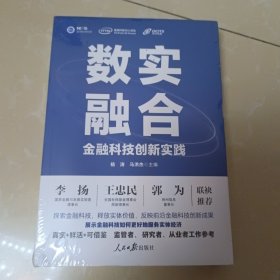 数实融合：金融科技创新实践
