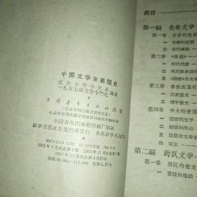 中国文学发展简史