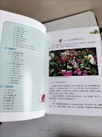 兰花：野外生境 栽培实例 鉴赏