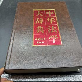 中华法学大辞典.诉讼法学·增补本