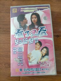 看了又看VCD全20碟装.