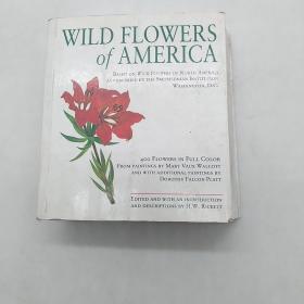 WILDFLOWERSofAMERICA