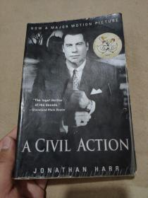 A Civil Action