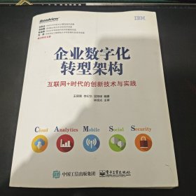 企业数字化转型架构：互联网+时代的创新技术与实践