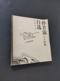 孙甘露文学片段自选