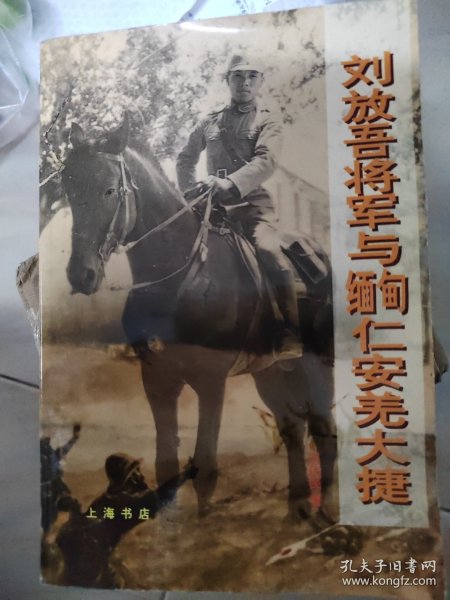 刘放吾将军与缅甸仁安羌大捷