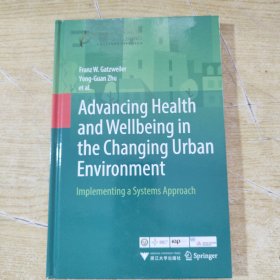 迈向实现之路：利用系统方法促进城市环境变化中的健康与福祉 系统方法 · 全球城市健康与福祉战略研究丛书