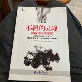 不羁的灵魂：超越自我的旅程