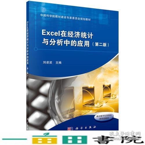 Excel在经济统计与分析中的应用（第二版）