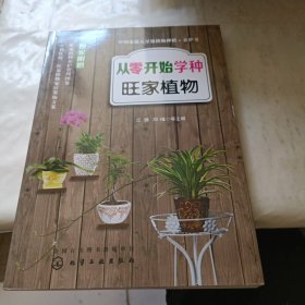 从零开始学种旺家植物