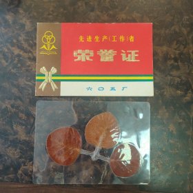 六O五厂荣誉证+树叶标本