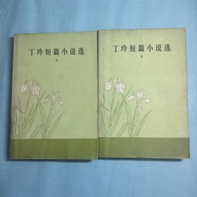 丁玲短篇小说选（上下）