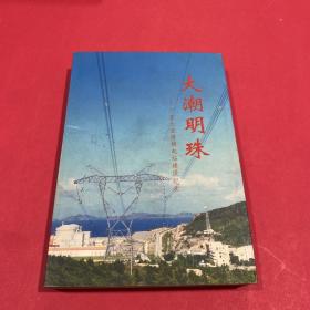 大潮明珠.广东大亚湾核电站建设纪实