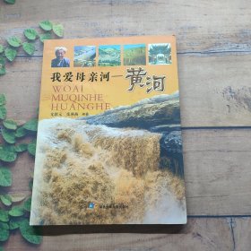 我爱母亲河——黄河