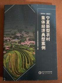 （2019-2022）宁夏新型农村集体经济典型案例