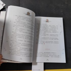 捣蛋鬼日记 国际大奖儿童文学 （轻微脏污）