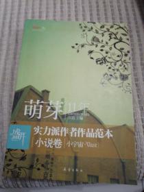 盛开萌芽11年实力派作者作品范本小说卷：小宇宙