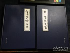 赵玉丰诗文集（上下册）