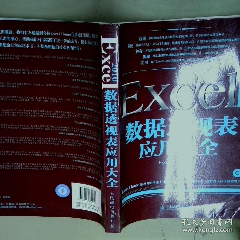 Excel2010数据透视表应用大全  ExcelHome编 人民邮电出版社