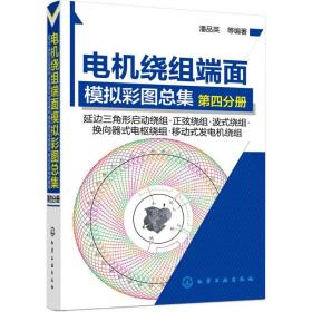 电机绕组端面模拟彩图集 机械工程 潘品英 等 编 新华正版