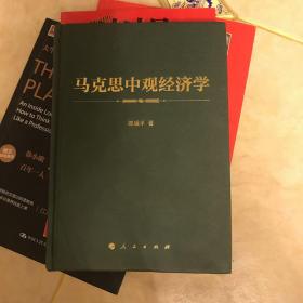 马克思中观经济学