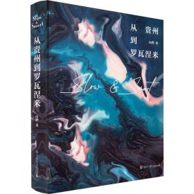 从贵州到罗瓦涅米 中国现当代文学 山峰 新华正版