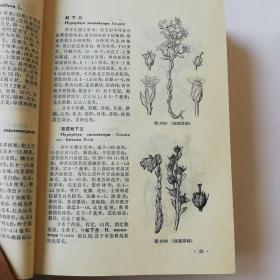 《中国高等植物图鉴》