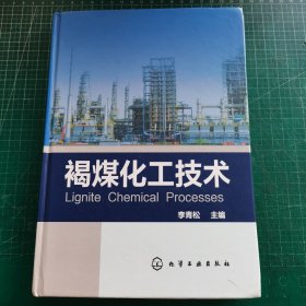 褐煤化工技术