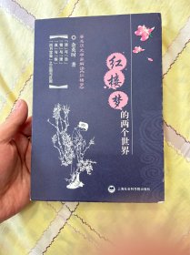 红楼梦的两个世界