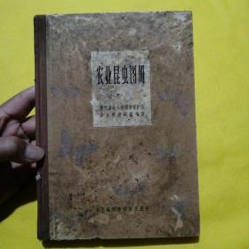 农业昆虫图册（32开精装本，1964年第一版1966年第2次印刷）