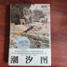 潮汐图（新锐女作家林棹全新长篇）
