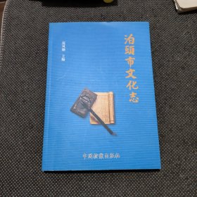 运河名城——泊头市文化志