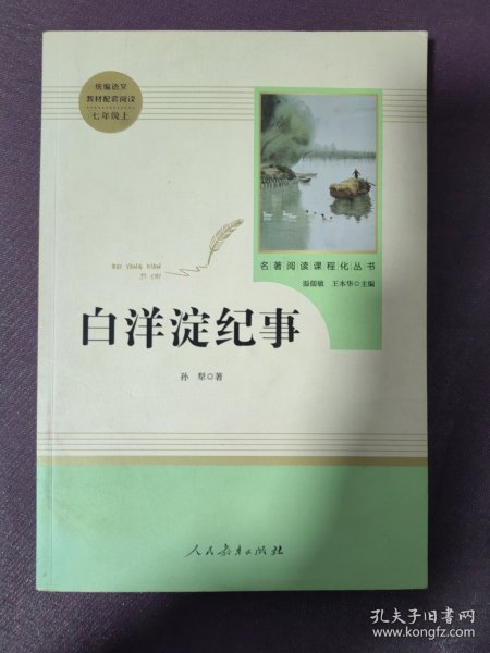 白洋淀纪事 名著阅读课程化丛书（统编语文教材配套阅读）七年级上