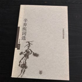 辛弃疾词选（正版、现货）
