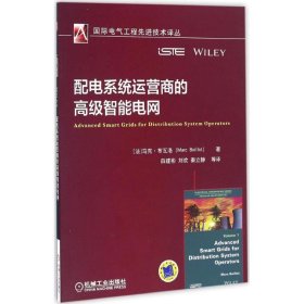 配电系统运营商的高级智能电网