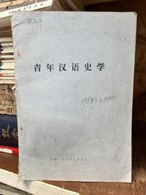 青年汉语史学