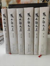 张文勋文集（全6卷）