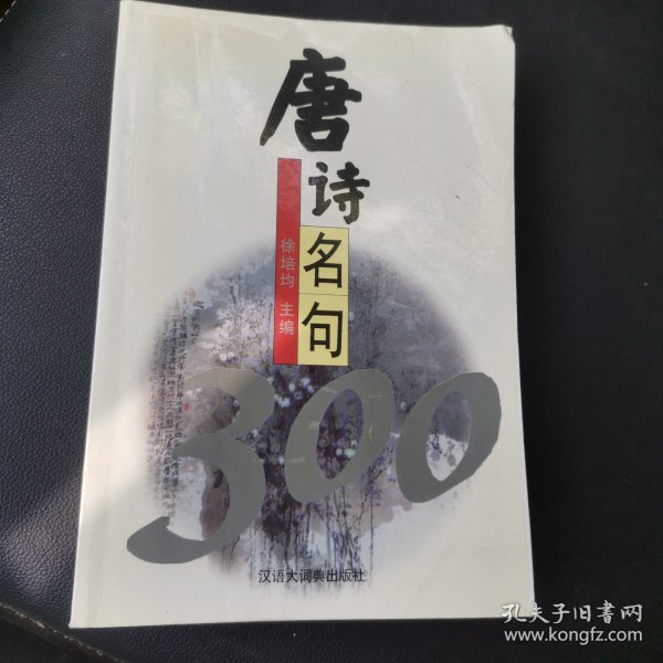 唐诗名句300