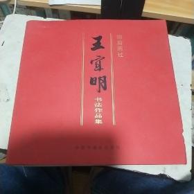 擦肩而过一一王宜明书法作品集