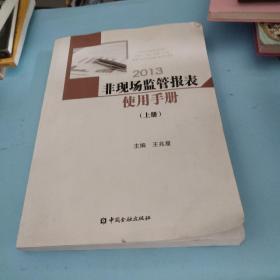 非现场监管报表使用手册. 上册 : 2013