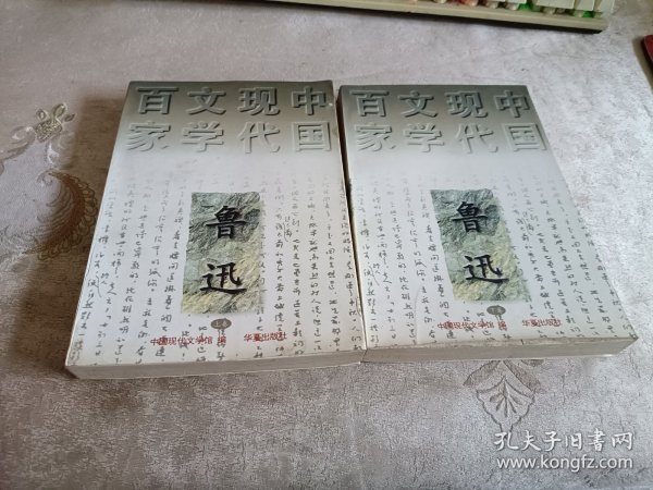 鲁迅（上、下卷）：中国现代文学百家