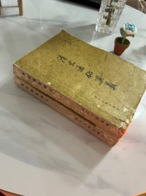 清史通俗演义