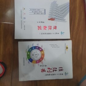 餐饮114 总裁导航系列 绩效利器 导论篇 工具篇 两本合售 品还行 看图