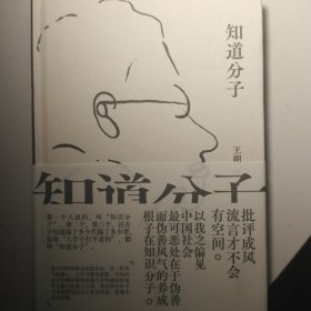 知道分子（王朔散文集全新再版。批评成风，流言才不会有空间。）