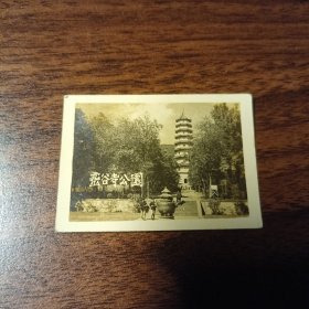 老照片–南京灵谷寺公园（50年代）