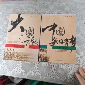 中国知青梦