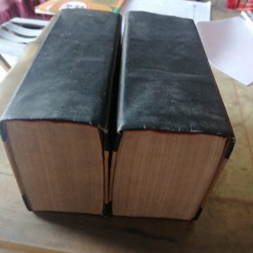 佛学大辞典（上下）