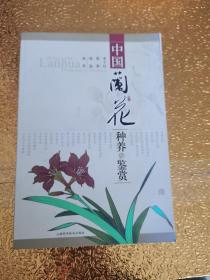 中國蘭花種養(yǎng)與鑒賞【有水印 不影響使用】